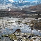 El Tatio Geysers