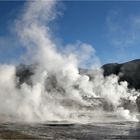 El Tatio IV