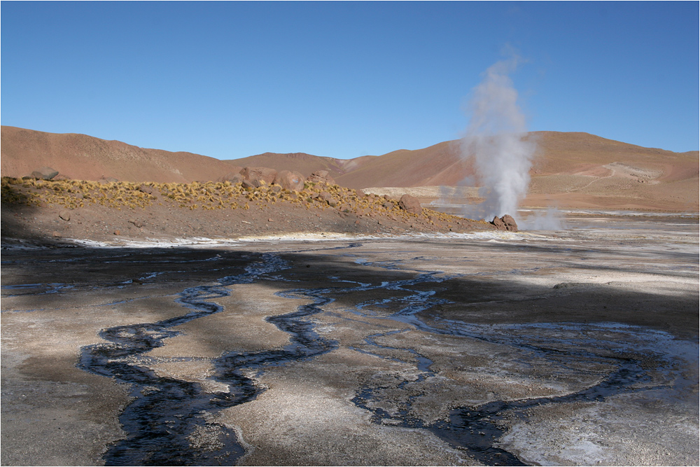 El Tatio IX