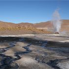 El Tatio IX