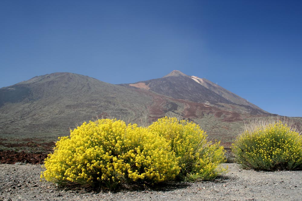 El Teide