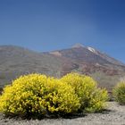 El Teide