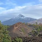 el Teide 3