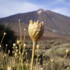 el teide