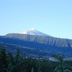 El Teide