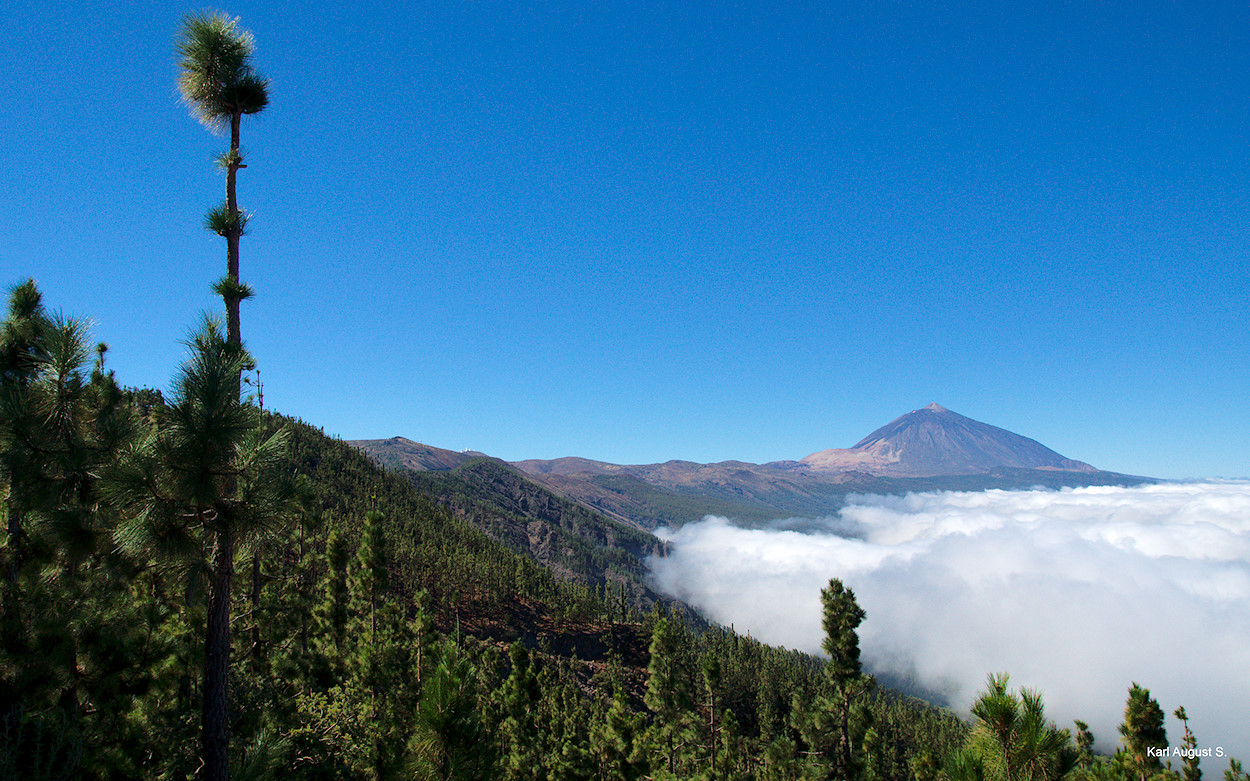 El Teide