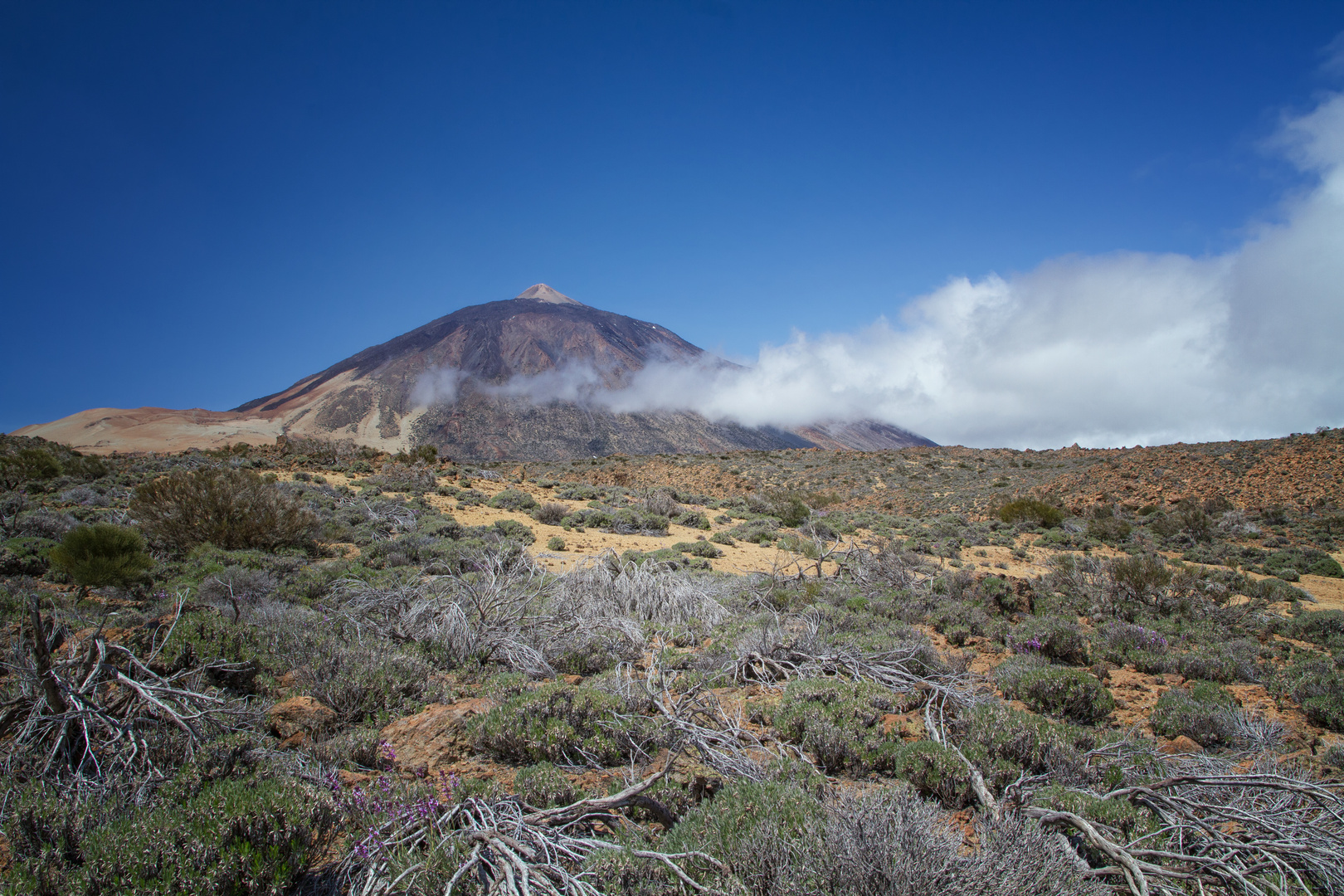 El Teide