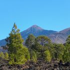 El Teide