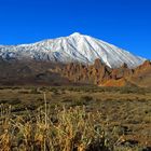 El Teide..........