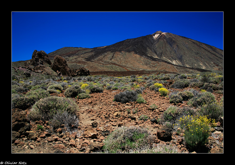 El Teide