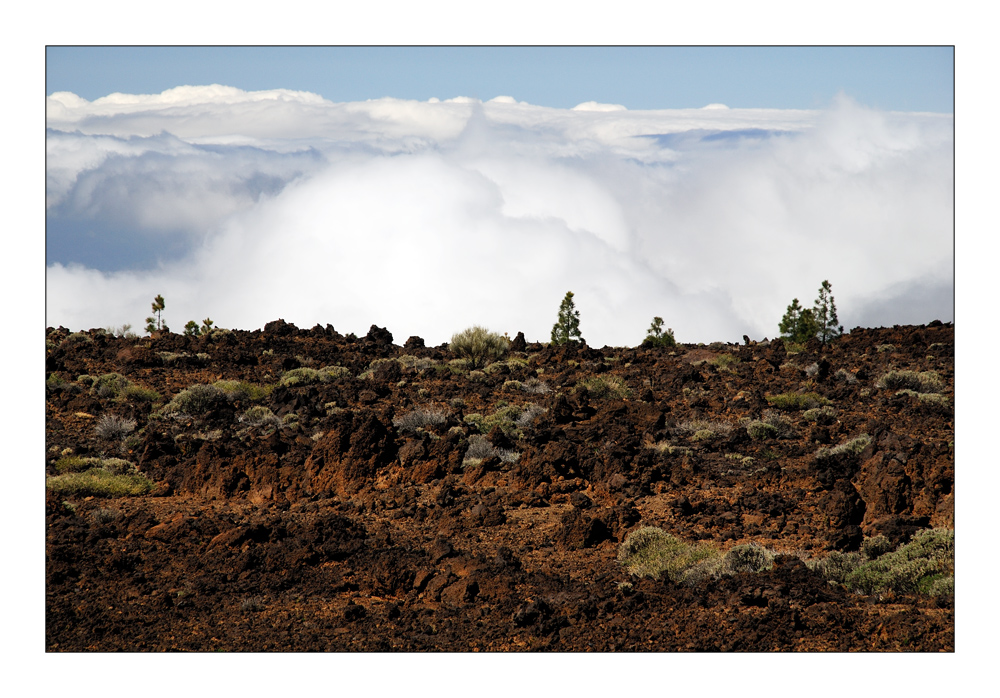 El Teide - Above the Clouds / Über den Wolken