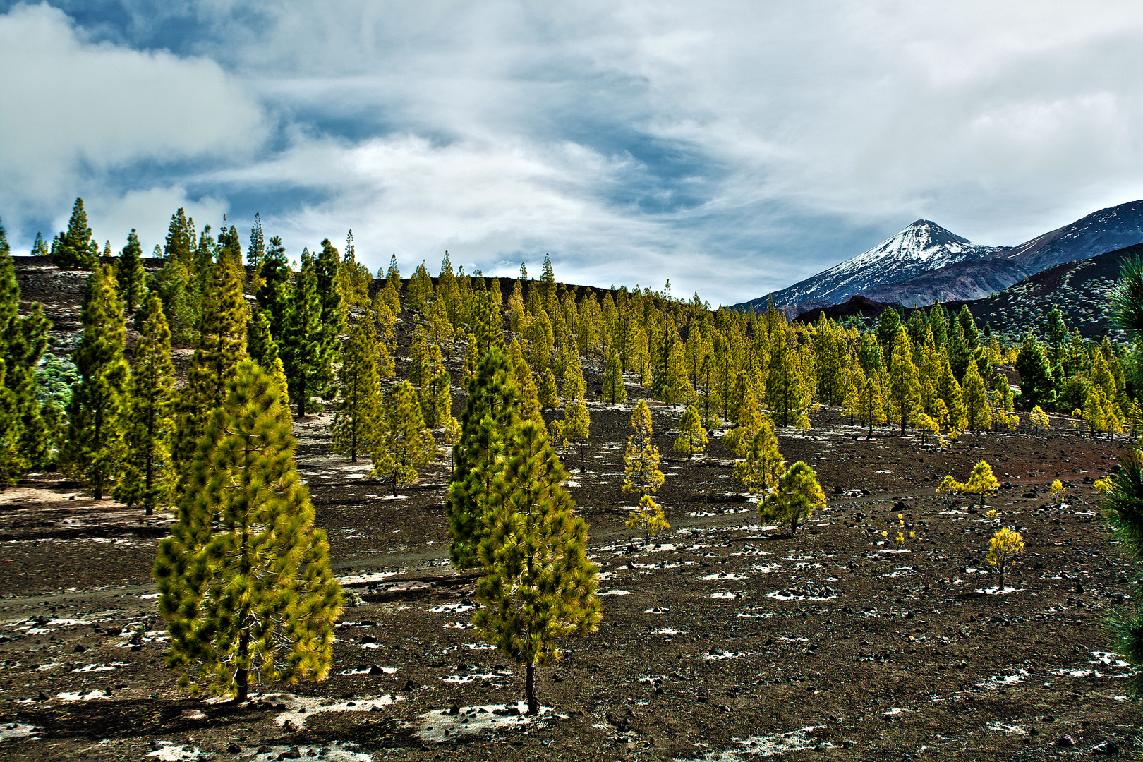 el Teide