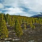 el Teide