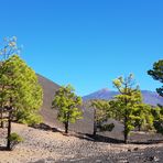 el teide