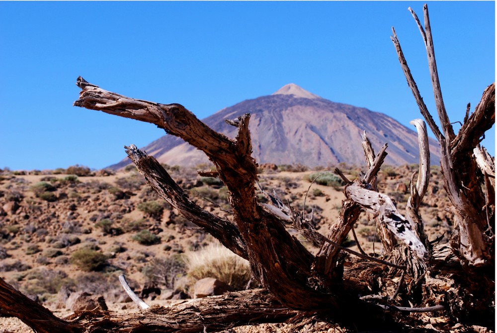 El Teide