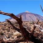 El Teide