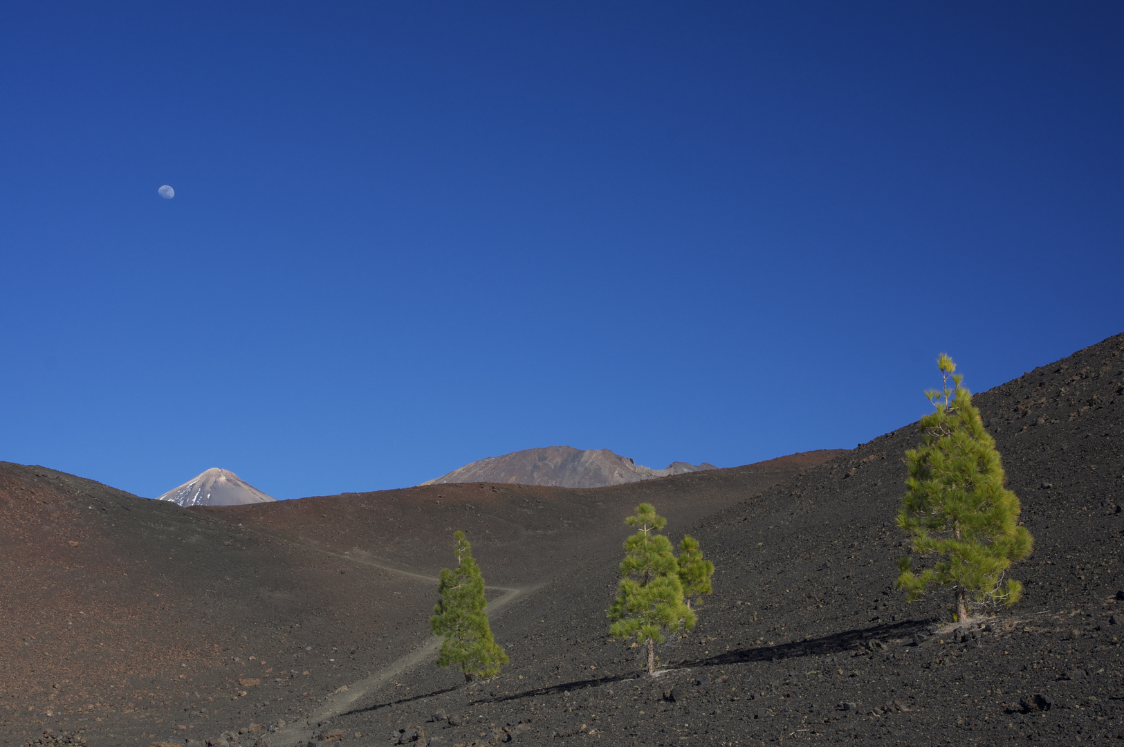 El Teide