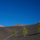 El Teide