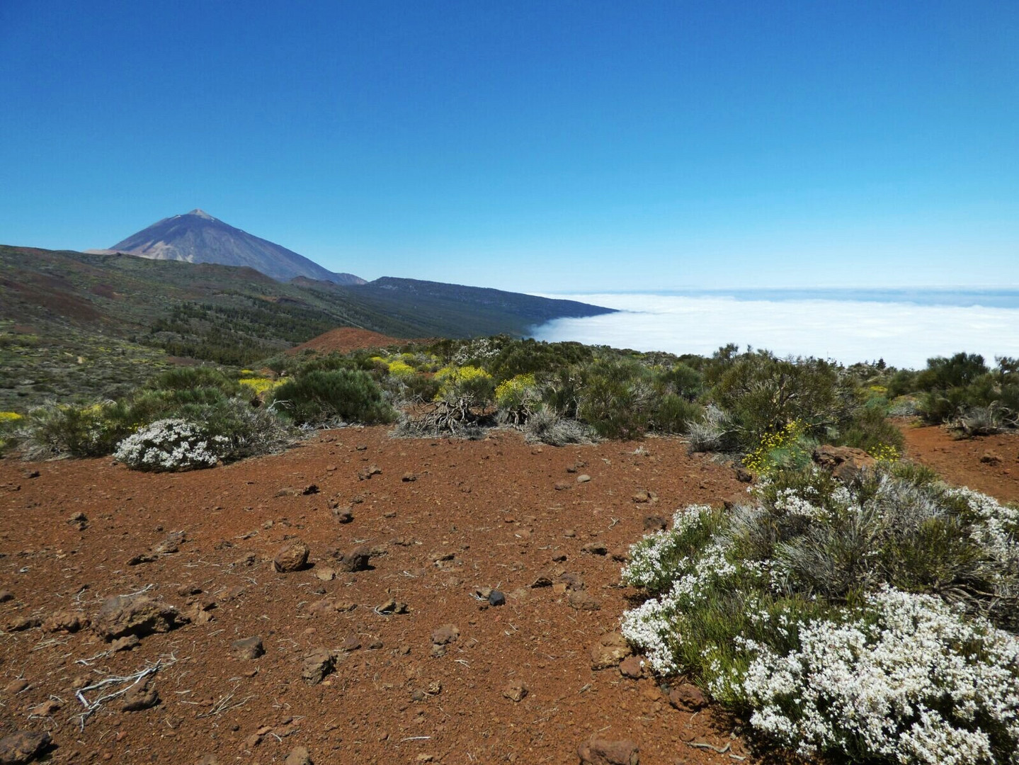 El Teide