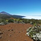 El Teide