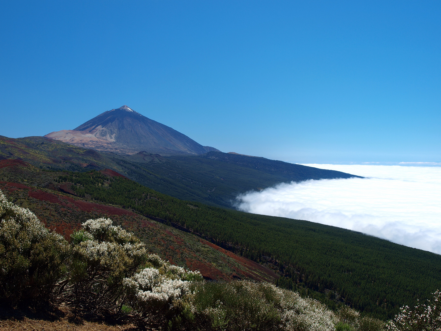 El Teide