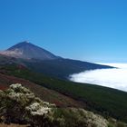 El Teide