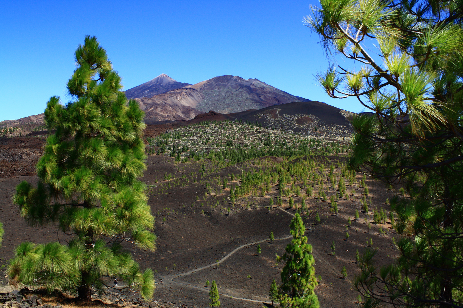 El Teide