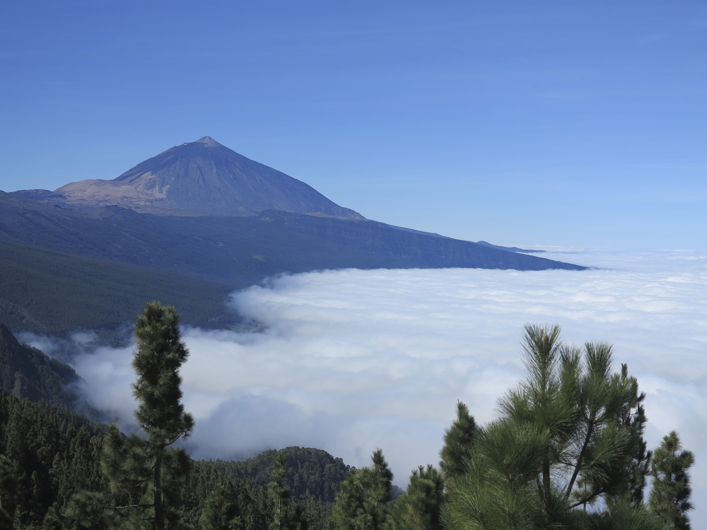 El Teide im Wolkenmeer