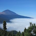 El Teide im Wolkenmeer