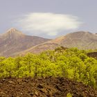 el Teide mit Nebenkrater