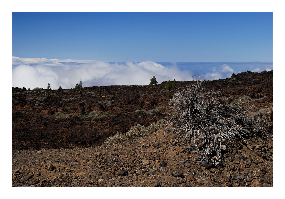 El Teide - On the Way Up - Auf dem Weg hinauf