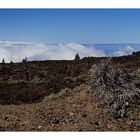 El Teide - On the Way Up - Auf dem Weg hinauf