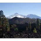 El Teide  - On the Way Up / Auf dem Weg nach Oben