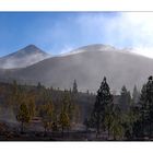 El Teide: Steaming - Dämpfend