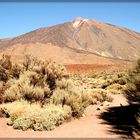 El Teide - Teneriffa