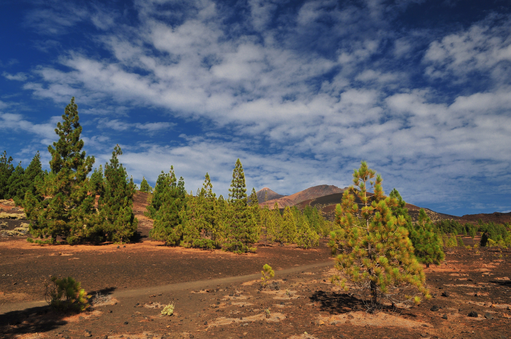 El Teide und Pico Viejo