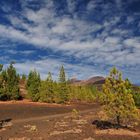 El Teide und Pico Viejo