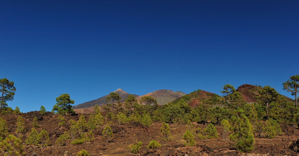 El Teide und Pico Viejo