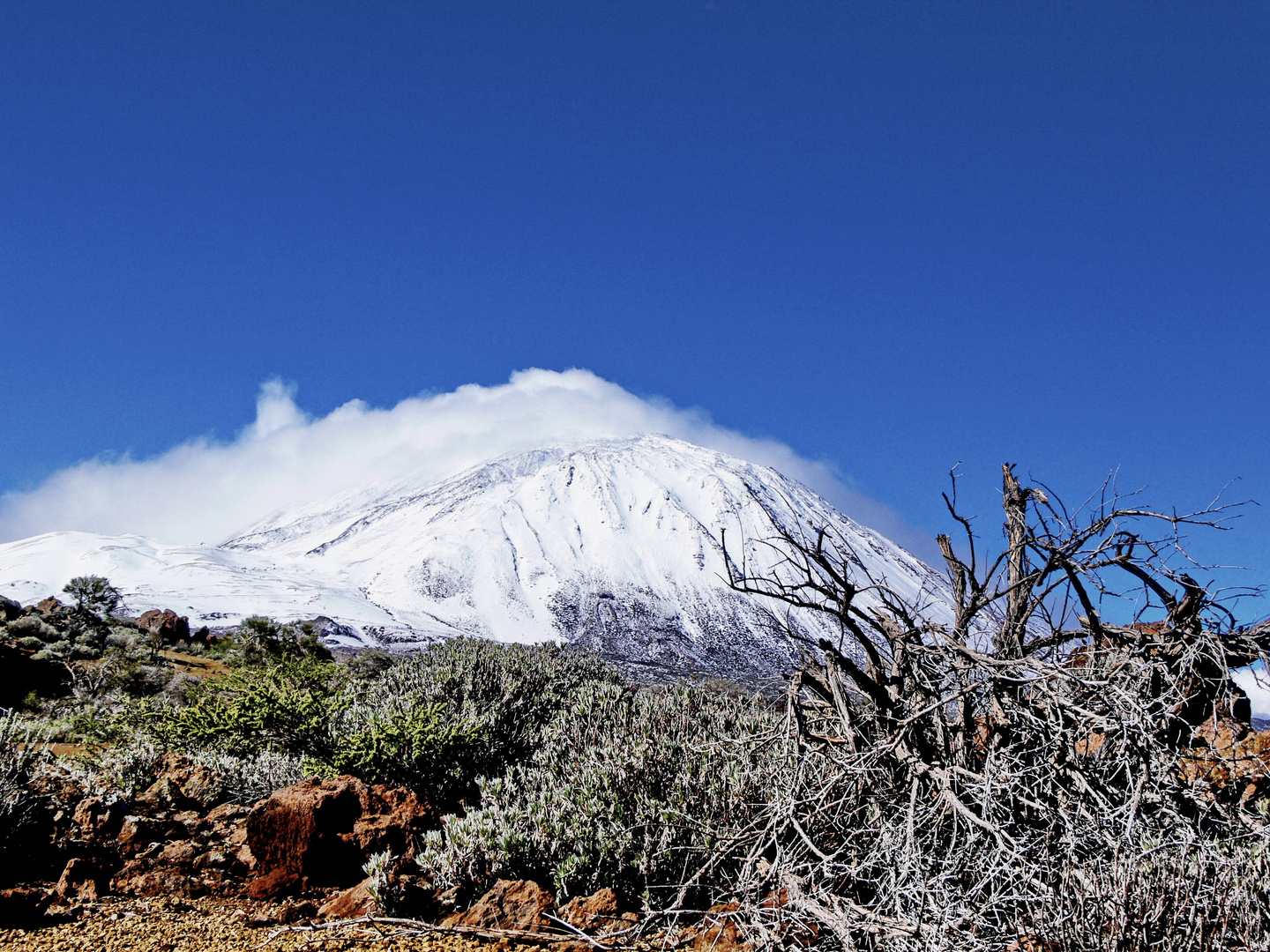 El Teide vom SÜDFLANKE