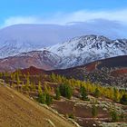 EL Teide vom Westen