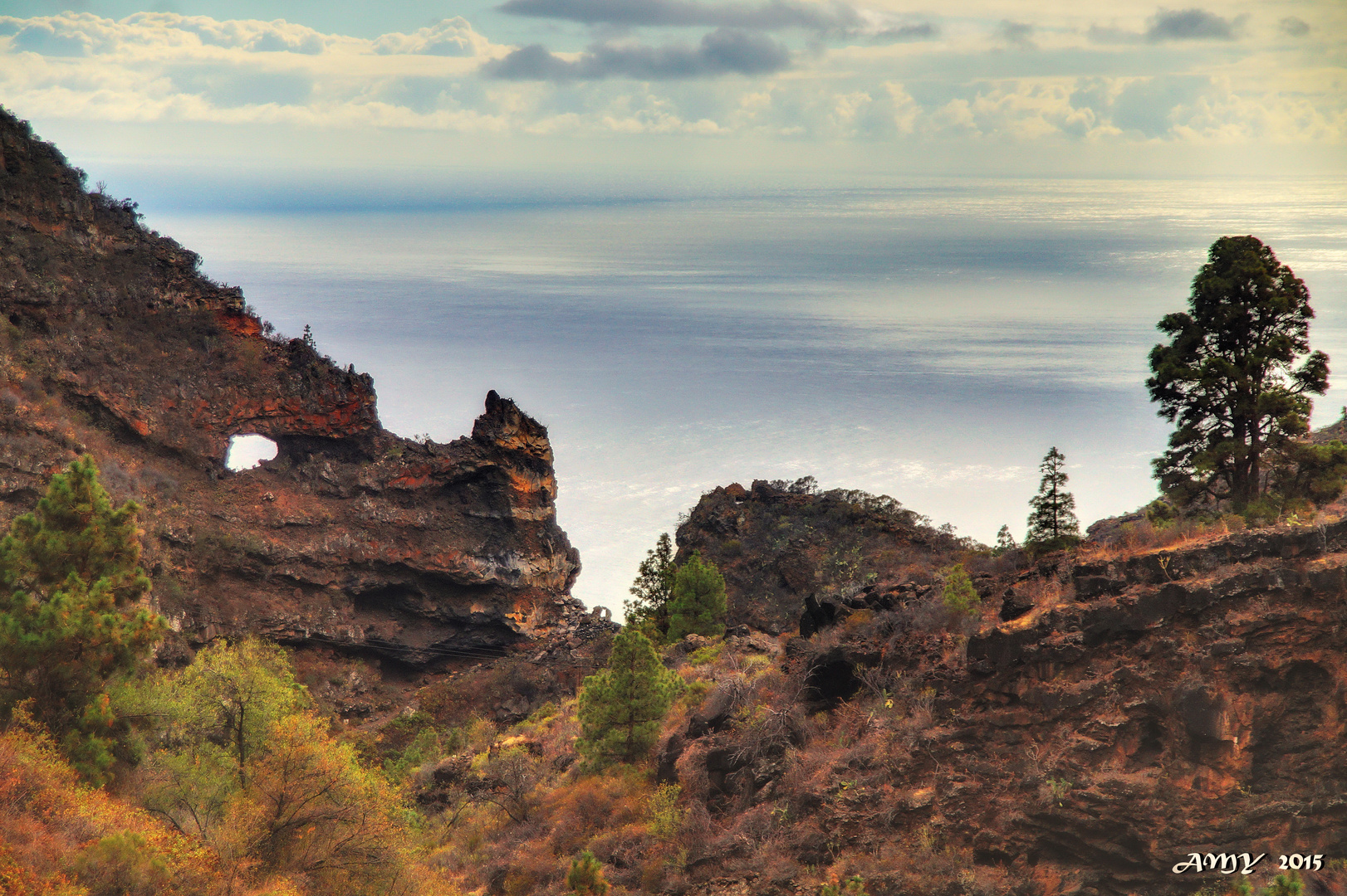 EL TIRANOSAURIO DE TIJARAFE (BARRANCO del JURADO - LA PALMA). Dedicada a CÉSAR CARLOS CABRERA VARGAS