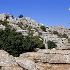 El Torcal