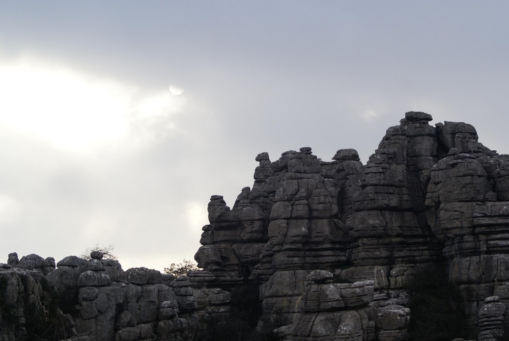 EL TORCAL