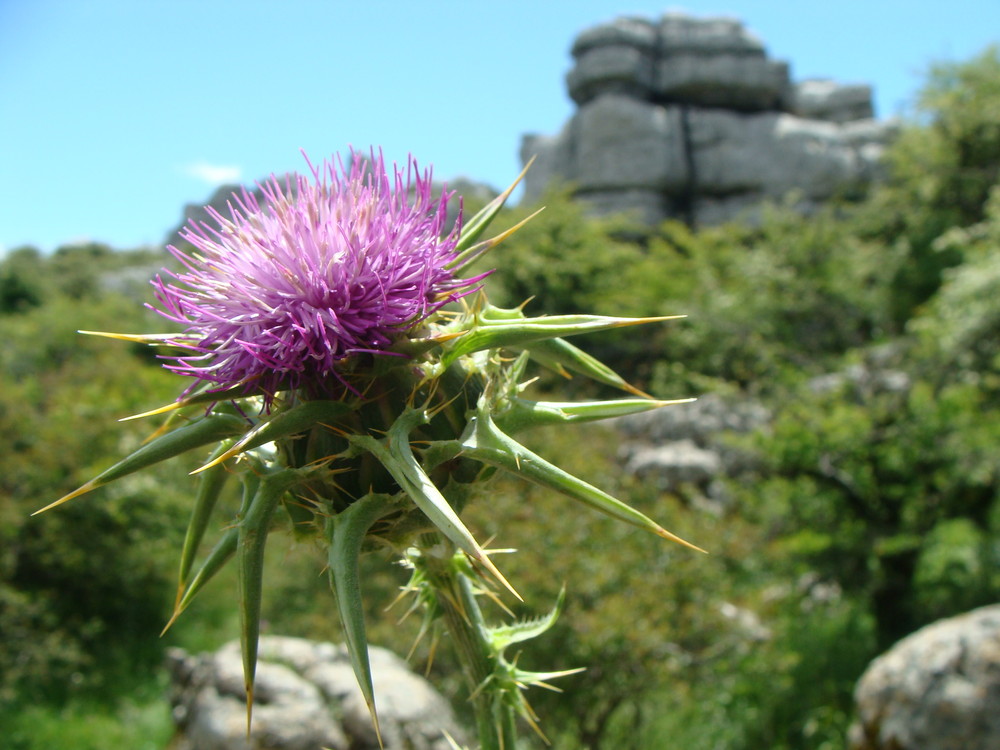 el torcal