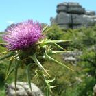 el torcal