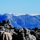 EL TORCAL Y SIERRA NEVADA