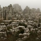 El Torcal,Andalusien