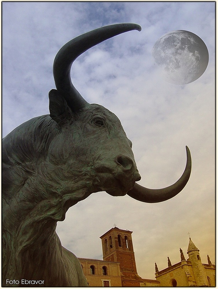 El toro enamorado de la Luna