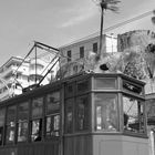 El Tren de Soller y la Plamera al Viento