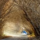 El Túnel encantado